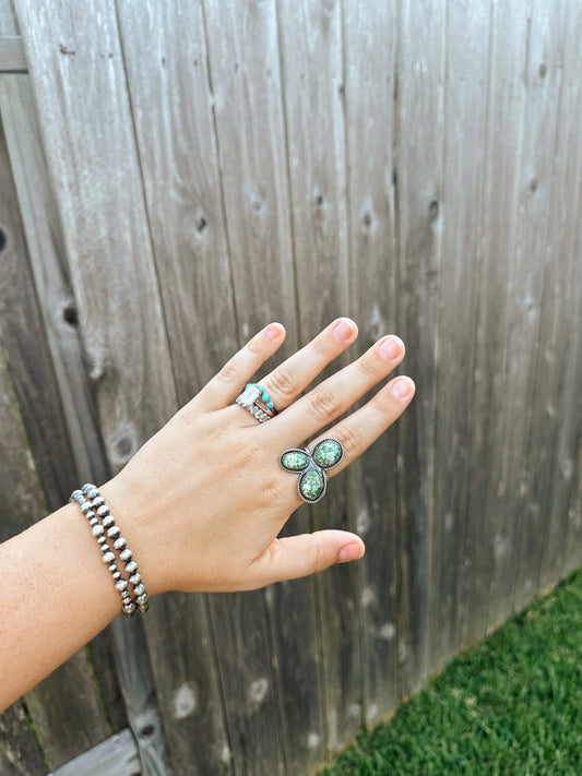 The Dani Ring